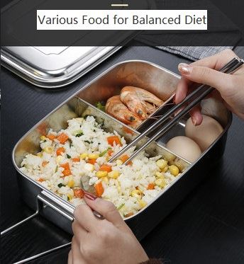 stainless steel 2 compartment lunch box1
